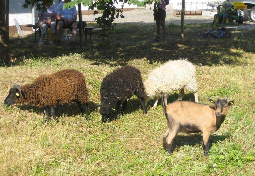 Gasthof Zur Krone Denkendorf  Zewnętrze zdjęcie